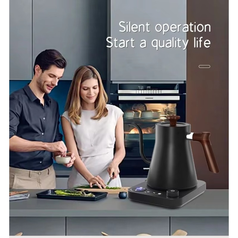 New Design Fish Smart Electric - đánh giá và giá Pour Over Kettle