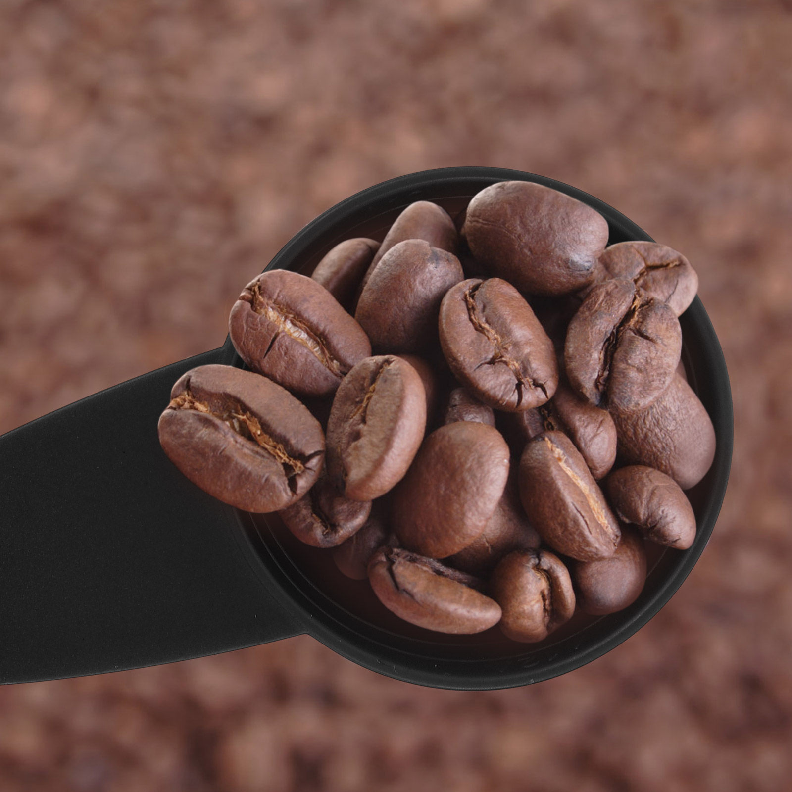 5Pcs Measure Spoon Long Handle - đánh giá và giá Coffee Tea Bean