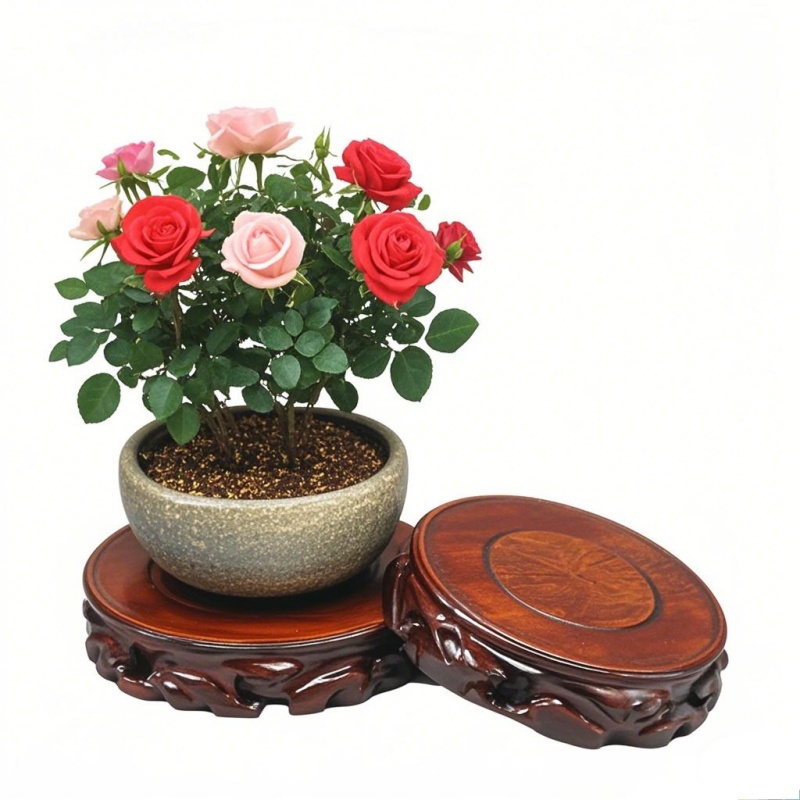 Wooden Plant Saucer & Flower P - đánh giá và giá Coffee Tea For Garden