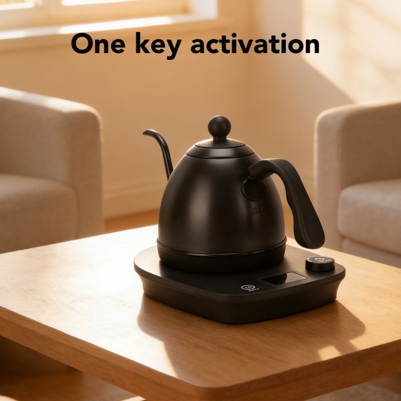 1000W Electric Gooseneck Kettl - đánh giá và giá Pour Over Kettle